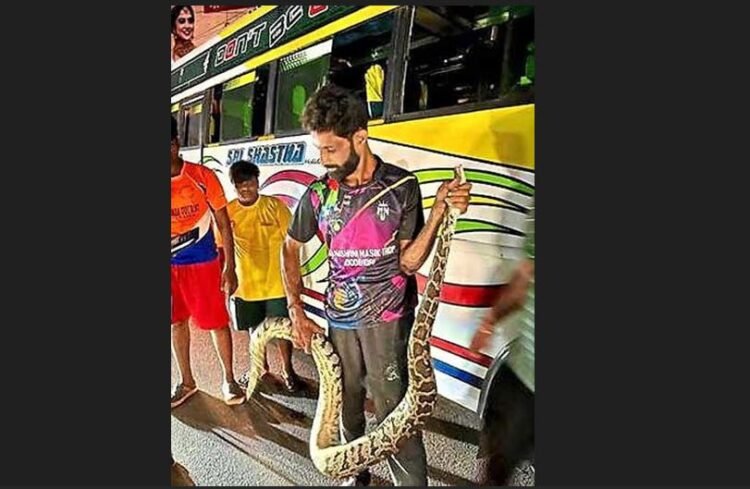 python
