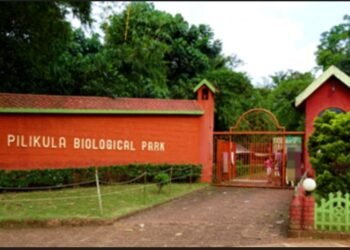 ಪಿಲಿಕುಳ ಮೃಗಾಲಯದಲ್ಲಿ 150ಕ್ಕೂ ಅಧಿಕ ಪ್ರಾಣಿಗಳ ಸಾವು: ವಿಷಪೂರಿತ ಆಹಾರ ಶಂಕೆ, ಸಮಗ್ರ ತನಿಖೆಗೆ ಒತ್ತಾಯ