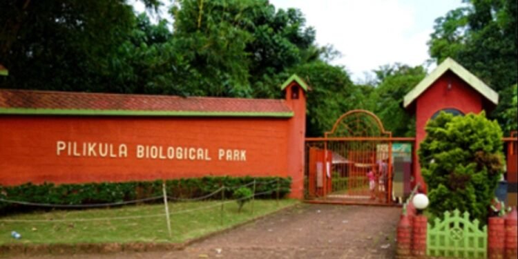 ಪಿಲಿಕುಳ ಮೃಗಾಲಯದಲ್ಲಿ 150ಕ್ಕೂ ಅಧಿಕ ಪ್ರಾಣಿಗಳ ಸಾವು: ವಿಷಪೂರಿತ ಆಹಾರ ಶಂಕೆ, ಸಮಗ್ರ ತನಿಖೆಗೆ ಒತ್ತಾಯ