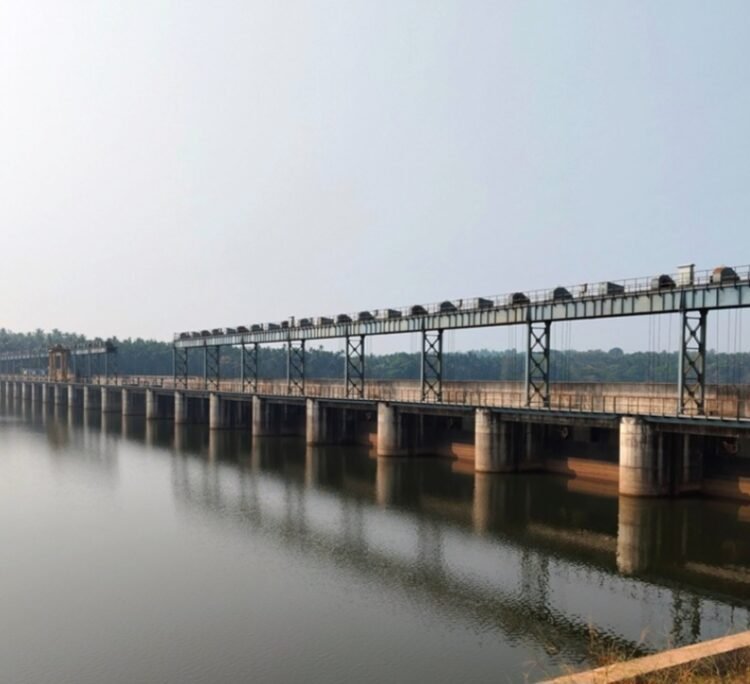 ಮಳೆ ಕೊರತೆ ಪರಿಣಾಮ: ಬಂಟ್ವಾಳದ ಜಕ್ರಿಬೆಟ್ಟು ಅಣೆಕಟ್ಟಿನಲ್ಲಿ ನೀರಿನ ಮಟ್ಟ ಕುಸಿತ