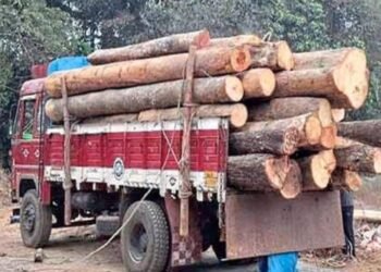 ಲಾರಿಯಲ್ಲಿ ಅಕ್ರಮ ಮರ ಸಾಗಾಟ ಪತ್ತೆ: 8 ಲಕ್ಷ ರೂ. ಮೌಲ್ಯದ ದಿಮ್ಮಿ ವಶ, ಪ್ರಕರಣ ದಾಖಲು