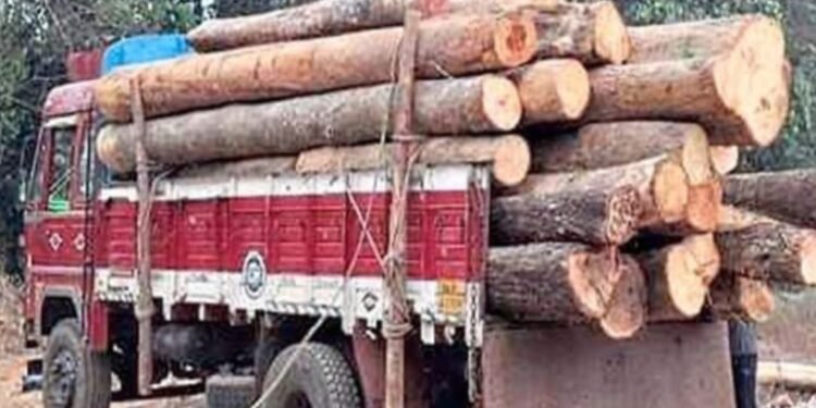 ಲಾರಿಯಲ್ಲಿ ಅಕ್ರಮ ಮರ ಸಾಗಾಟ ಪತ್ತೆ: 8 ಲಕ್ಷ ರೂ. ಮೌಲ್ಯದ ದಿಮ್ಮಿ ವಶ, ಪ್ರಕರಣ ದಾಖಲು