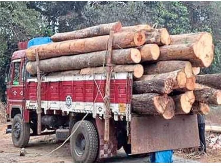 ಲಾರಿಯಲ್ಲಿ ಅಕ್ರಮ ಮರ ಸಾಗಾಟ ಪತ್ತೆ: 8 ಲಕ್ಷ ರೂ. ಮೌಲ್ಯದ ದಿಮ್ಮಿ ವಶ, ಪ್ರಕರಣ ದಾಖಲು