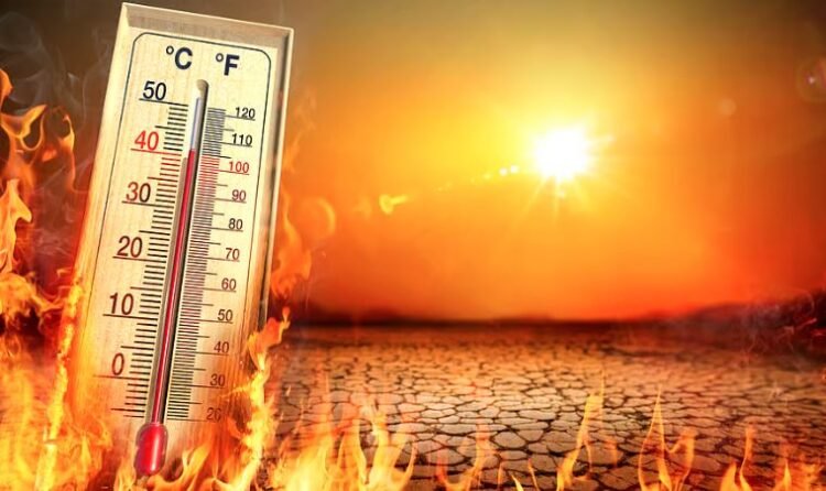 temperature