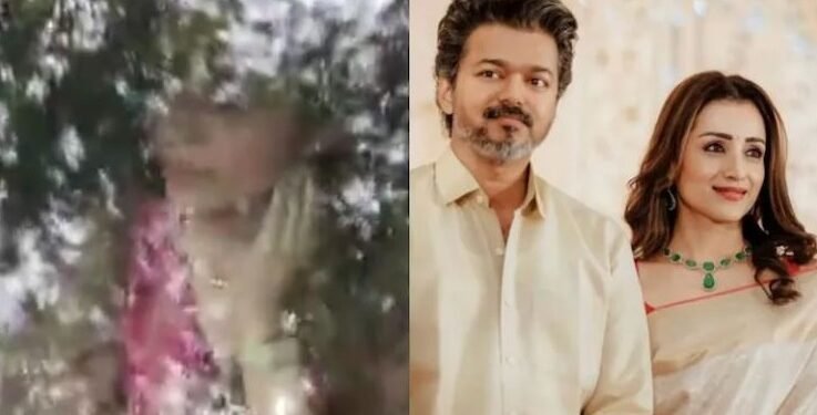 thrisha-vijay