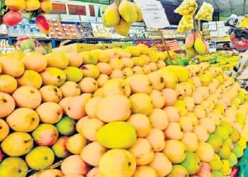 mango