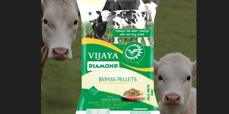 vijaya_diamond