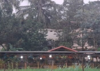 ನಾಳೆ ಪುತ್ತೂರು ಶ್ರೀ ಮಹಾಲಿಂಗೇಶ್ವರ ದೇವಸ್ಥಾನದಲ್ಲಿ ನಾಗರಪಂಚಮಿ ಆಚರಣೆ ಎಲ್ಲಿ…?