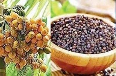 ಬೆಳೆ ವಿಮೆ ಪ್ರೀಮಿಯಂ ಪಾವತಿಗೆ ಆ.17ರವರೆಗೆ ಅವಧಿ ವಿಸ್ತರಣೆ