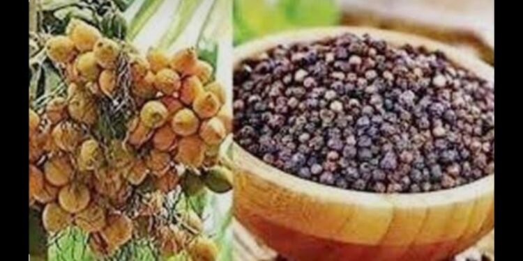 ದ.ಕ.: ಬೆಳೆ ವಿಮೆ ಜಮೆ ಆರಂಭ; ಕಡಿಮೆ ಮೊತ್ತಕ್ಕೆ ರೈತರ ಅಸಮಾಧಾನ