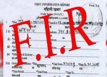 fir